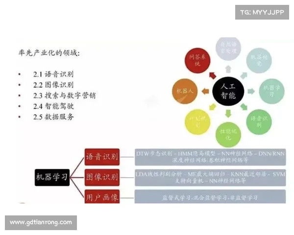 战术演示解析与实战应用技巧探索，提升战斗力的关键要素剖析