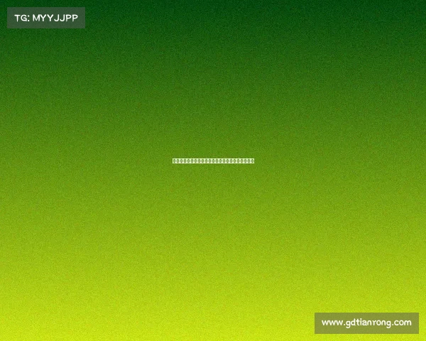 德甲各队失球率分析：防守表现与排名关系深度剖析